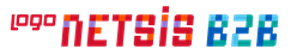 Netsis B2B